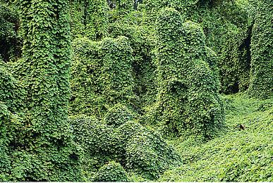 《怪物猎人 崛起》发布新活动任务 上镜♪最可爱★穿搭！