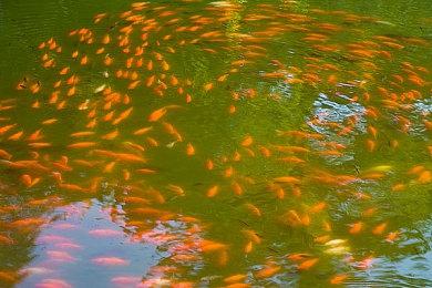 《索尼克：起源》即将上线 《索尼克CD》及DLC全部下架